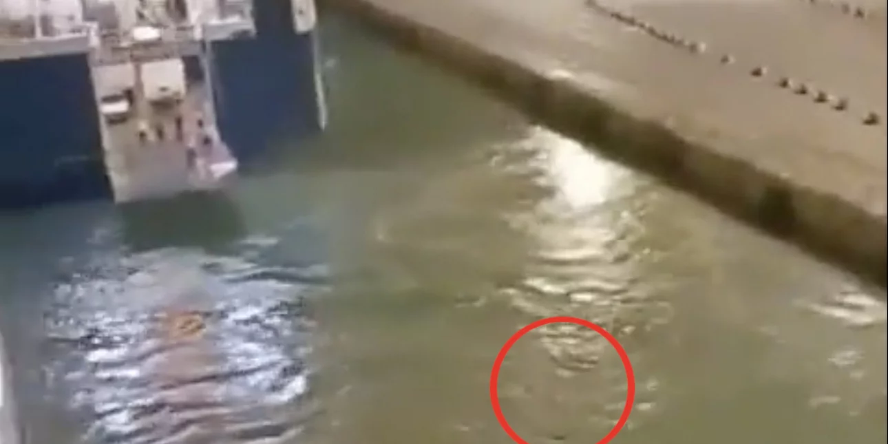 Blue Horizon: «Δεν λέμε τι ακούμε και τι βλέπουμε» -Νέοι σοκαριστικοί διάλογοι μελών του πληρώματος