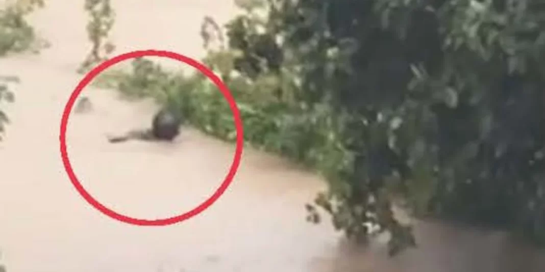 dimarhos-skiathou-7-9-23.jpg Κακοκαιρία «Daniel»: Ο δήμαρχος Σκιάθου βούτηξε στον χείμαρρο για να σώσει την αδελφή του (συγκλονιστικό βίντεο)