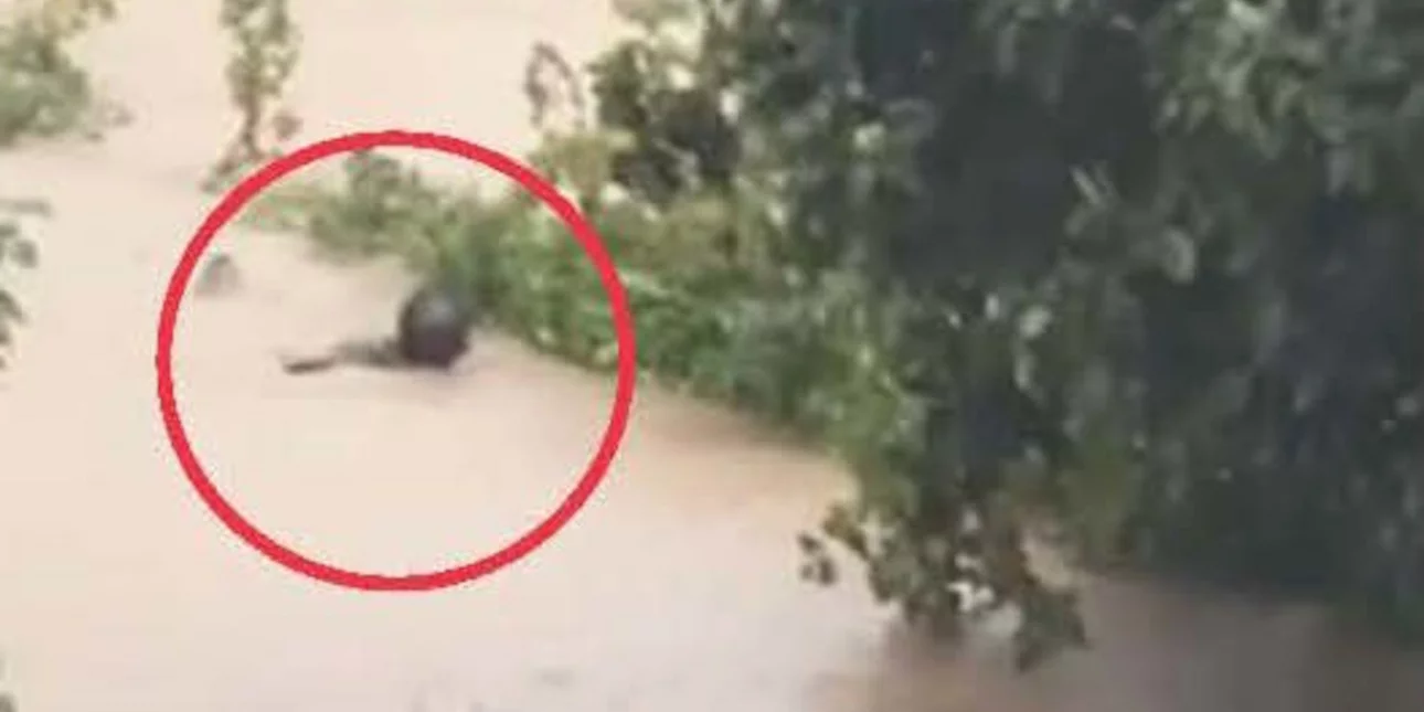 Κακοκαιρία «Daniel»: Ο δήμαρχος Σκιάθου βούτηξε στον χείμαρρο για να σώσει την αδελφή του (συγκλονιστικό βίντεο)