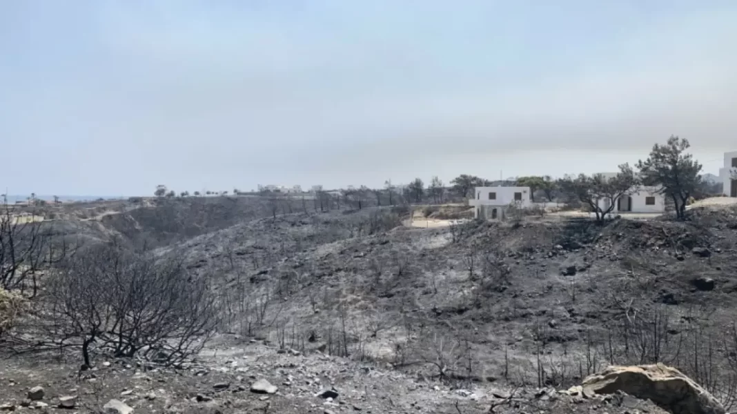 Φορολογικές δηλώσεις: Παράταση ενός μήνα στην υποβολή για τους πυρόπληκτους του Έβρου