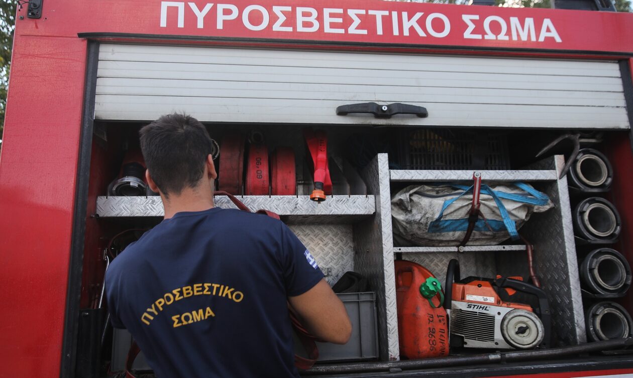 Φωτιά σε δασική έκταση στη Φθιώτιδα – Επιχειρούν και εναέρια μέσα