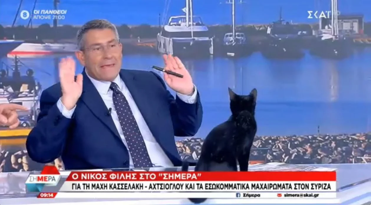 Μαύρη γάτα «εισέβαλε» στο στούντιο του ΣΚΑΪ την ώρα της εκπομπής – Η αντίδραση του Άκη Παυλόπουλου