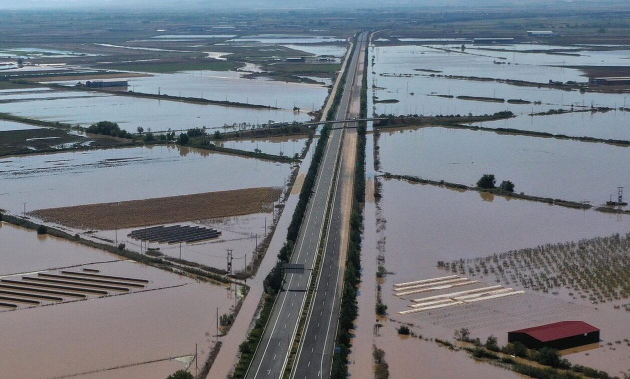 Κακοκαιρία Daniel: Απέραντο νεκροταφείο ζώων ο θεσσαλικός κάμπος - Σκληρές εικόνες (βίντεο)