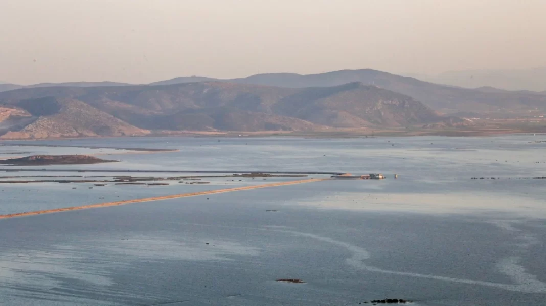 «Τι κακό έπεσε Θεέ μου στο σπιτικό μας» – Ραγίζει καρδιές η μητέρα του 43χρονου ψαρά που βρέθηκε νεκρός