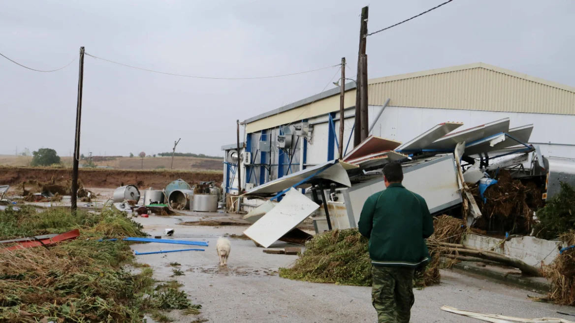 Κακοκαιρία «Daniel»: Αίτημα στο υπουργείο Παιδείας για τη δυνατότητα μετεγγραφής των φοιτητών από τη Θεσσαλία