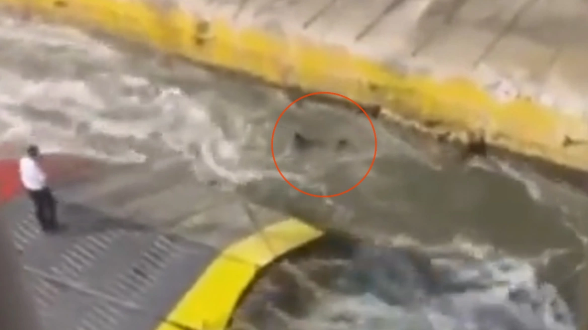 Τι δήλωσαν αυτόπτες μάρτυρες για την τραγωδία στο Blue Horizon – Οργή από τα βίντεο