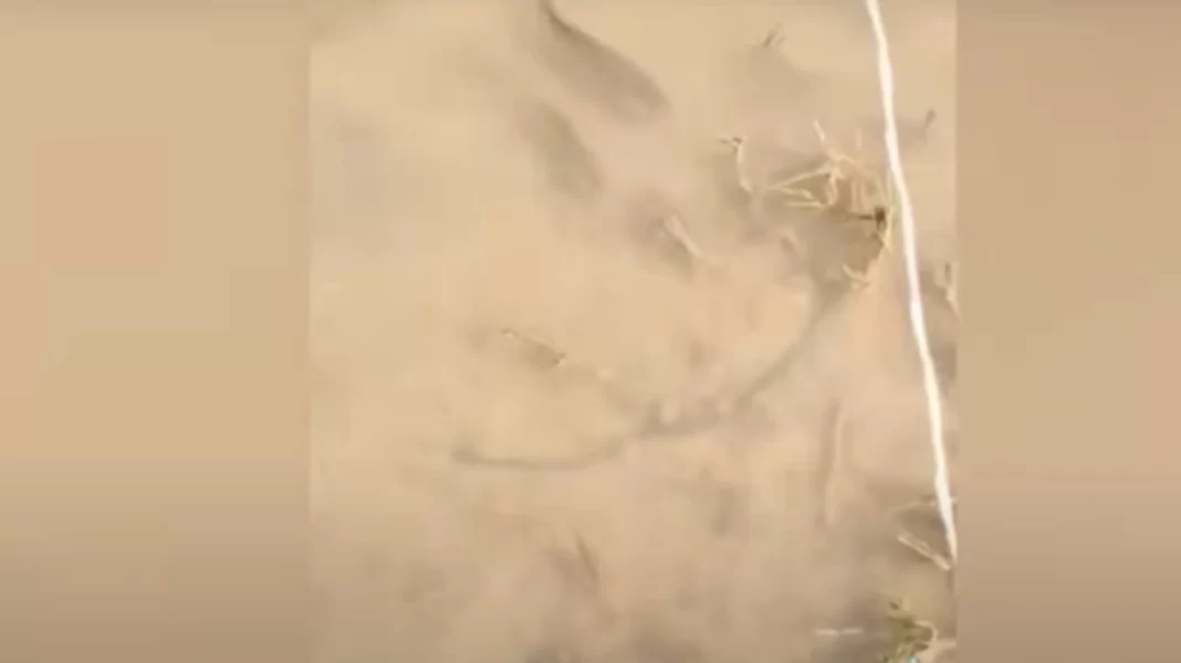 Ψάρια κολυμπούν στα πεζοδρόμια της Γιάννουλης μετά την κακοκαιρία Daniel