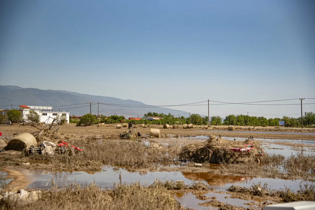 Θεσσαλία: Προσπαθούν να μαζέψουν τα νεκρά ζώα – «Υπάρχουν ακόμη περιοχές στις οποίες δεν έχουμε πρόσβαση