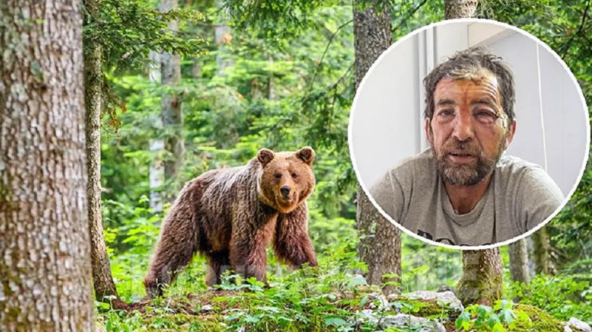 «Πήδηξε πάνω στο κεφάλι μου» – Κτηνοτρόφος περιγράφει την επίθεση που δέχθηκε από αρκούδα