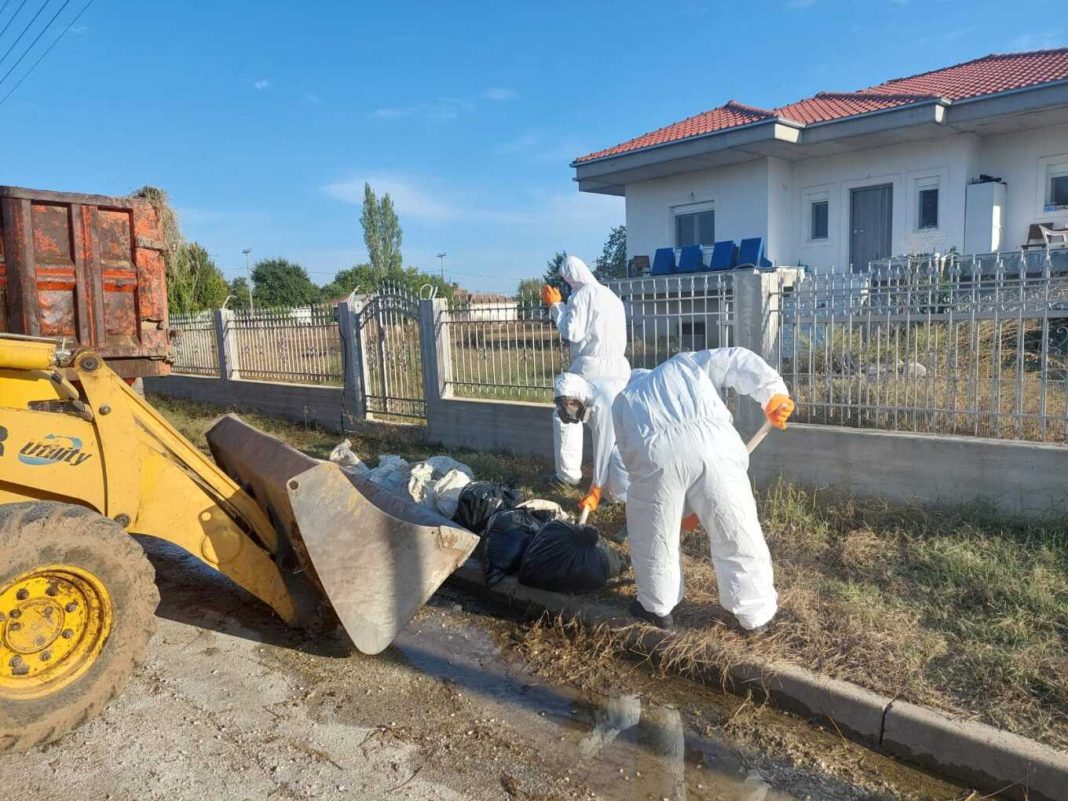 Αγώνας δρόμου από τα ειδικά κλιμάκια για την αποκομιδή των νεκρών ζώων (φωτογραφίες)