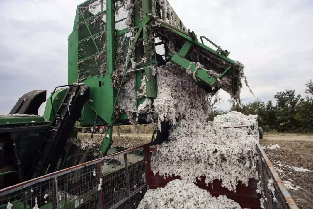Νεκρός από ηλεκτροπληξία 53χρονος που μάζευε βαμβάκι – Χαροπαλεύει 17χρονος