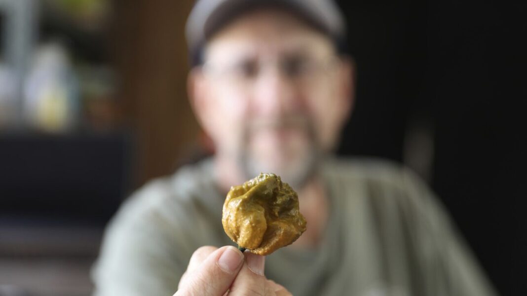 Pepper X: Αυτή είναι η νέα πιο καυτερή πιπεριά στον κόσμο