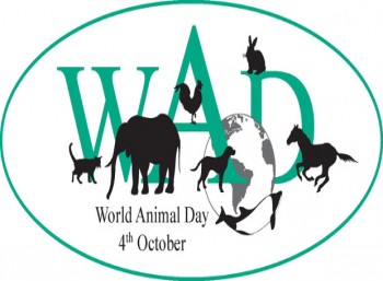 Παγκόσμια Ημέρα Ζώων – Δ. Ηρακλείου: Να αναλογιστούμε την ευθύνη των ανθρώπων για την αύξηση των αδέσποτων ζώων συντροφιάς