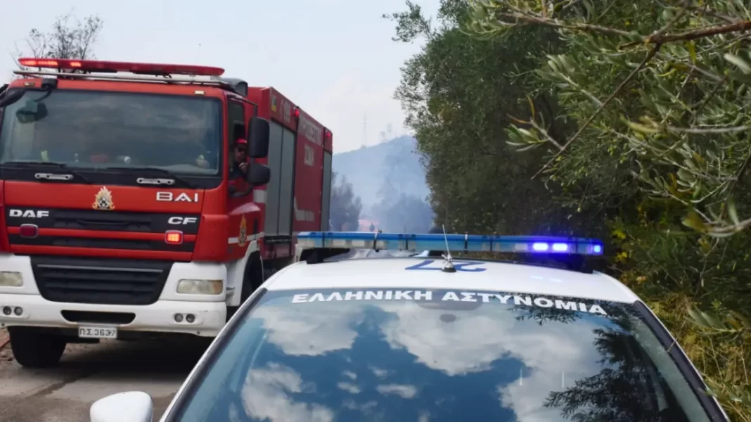 Φωτιά τώρα σε δασική έκταση στην περιοχή Ανατολή Νέας Μάκρης Αττικής