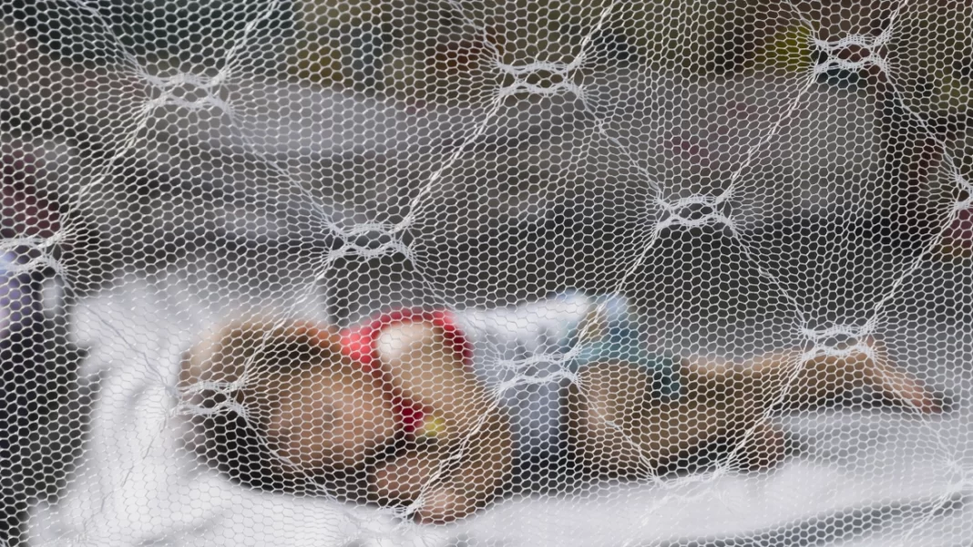 Καμπανάκι από τον ΠΟΥ: Μείζων απειλή ο δάγκειος πυρετός για νότια Ευρώπη, ΗΠΑ και Αφρική