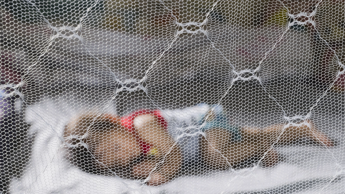 Καμπανάκι από τον ΠΟΥ: Μείζων απειλή ο δάγκειος πυρετός για νότια Ευρώπη, ΗΠΑ και Αφρική
