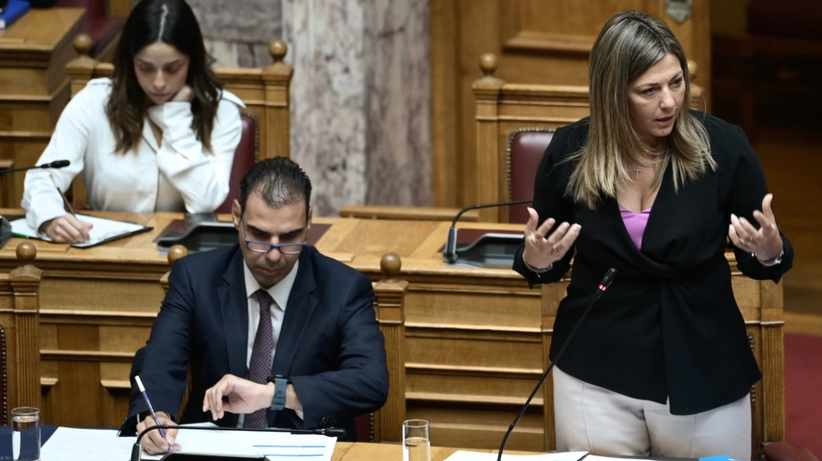 Ζαχαράκη: Έρχεται πρόγραμμα αξιοποίησης ακινήτων του Δημοσίου για ανέγερση κοινωνικών κατοικιών