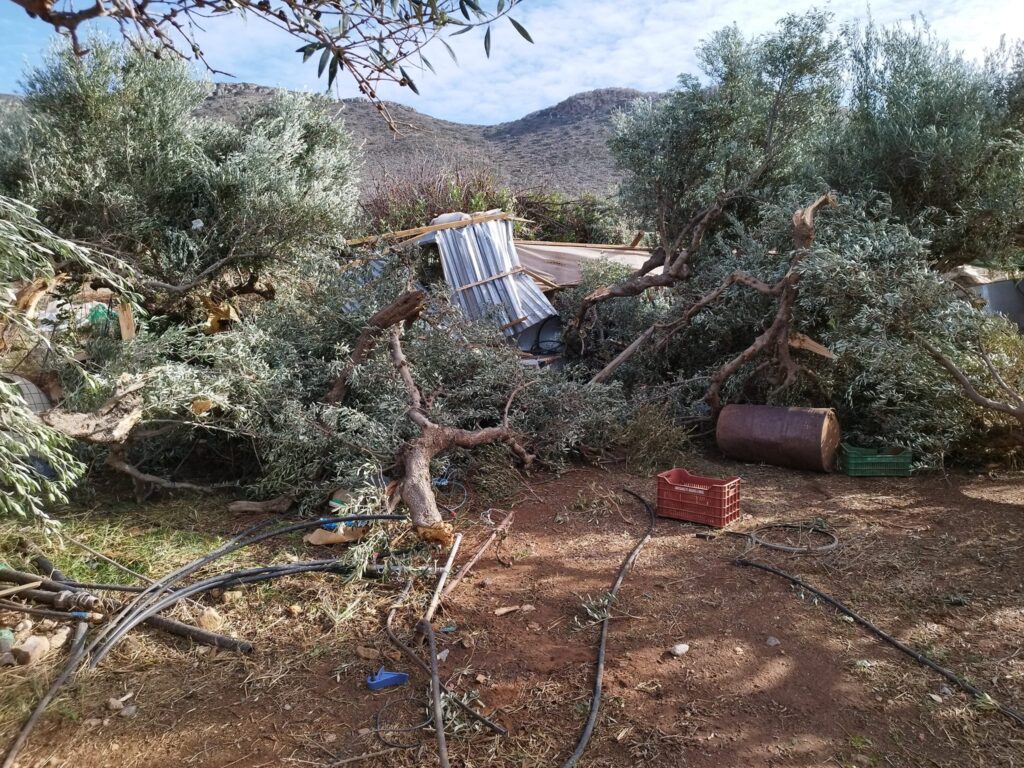 Kρήτη: Καταστροφές σε θερμοκήπια, ελιές και υποδομές από ανεμοστρόβιλο και χαλάζι