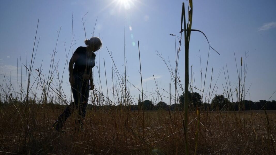 Κλιματική αλλαγή: Πενταπλάσιοι θανάτοι από την ακραία ζέστη τις επόμενες δεκαετίες