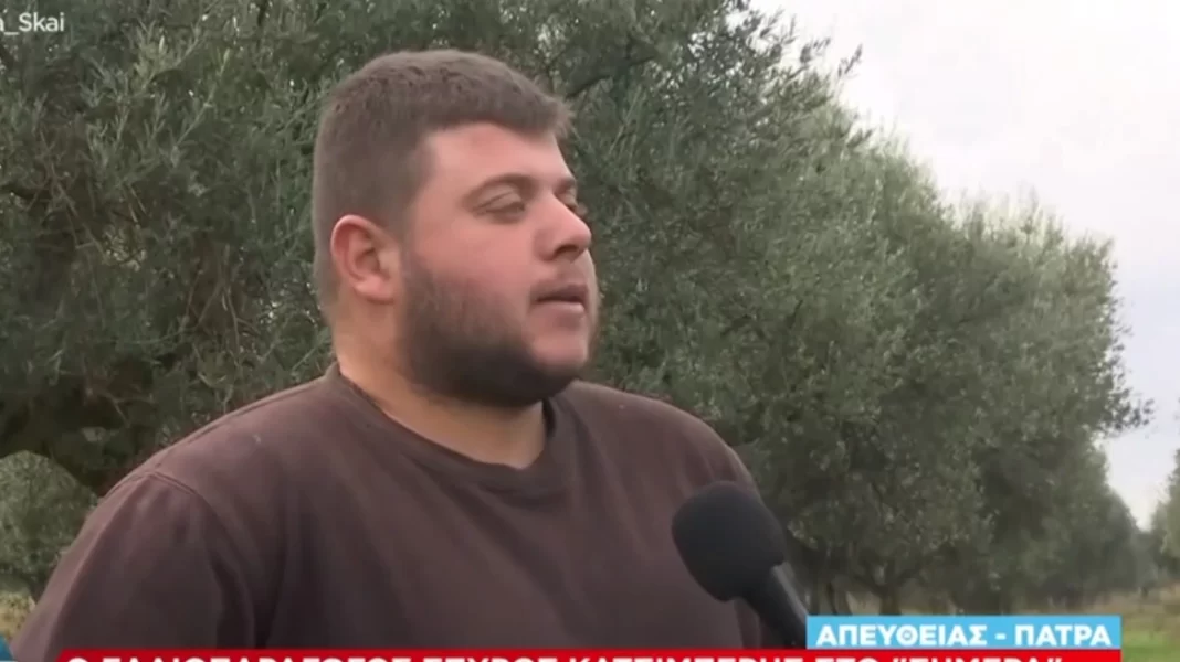 Αγρότης αποκάλυψε πώς έπιασαν τους τρεις που του έκλεψαν 7 τόνους ελιές
