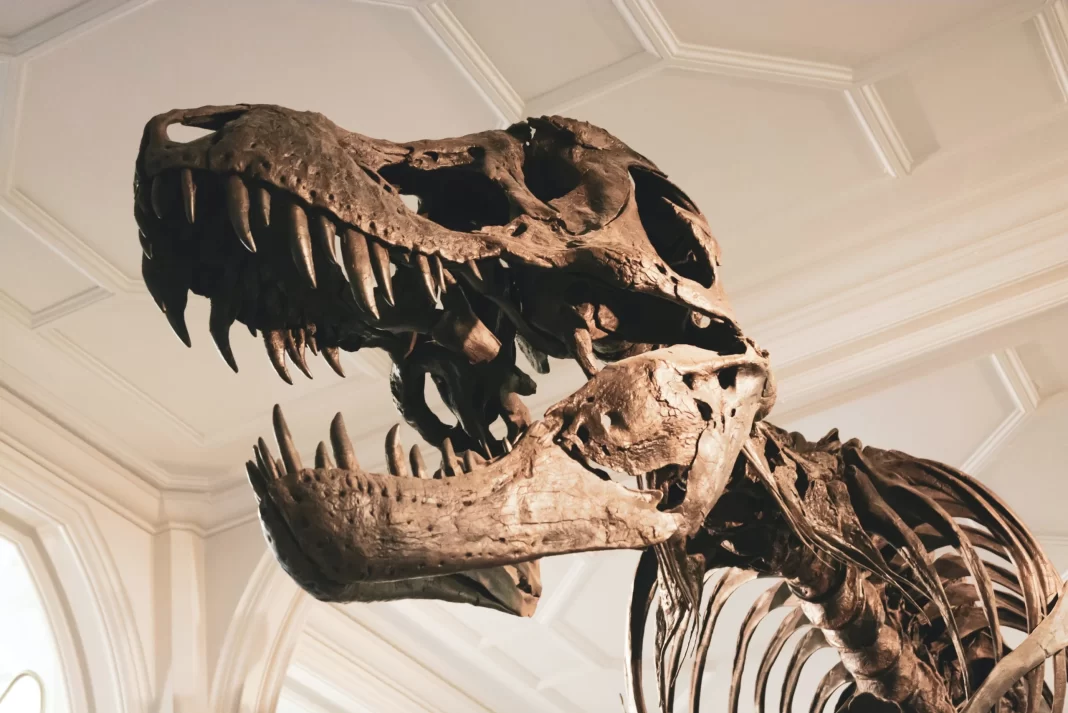 Ανακαλύφθηκε νέο είδος δεινοσαύρου σε μέγεθος μπόρντερ κόλεϊ – Έζησε πριν από 96 εκατομμύρια χρόνια