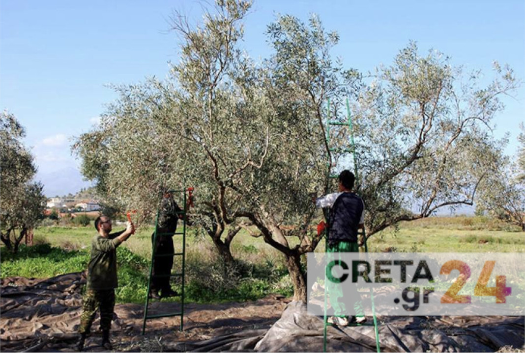 Επιβεβαίωση Creta24: Παράταση των αιτήσεων για τους εργάτες γης που θα έρθουν στο Ηράκλειο από τη Δ. Μακεδονία