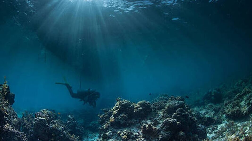 Θεσσαλονίκη: Τα σκουπίδια του βυθού μεταμορφώνονται σε Χριστουγεννιάτικα στολίδια