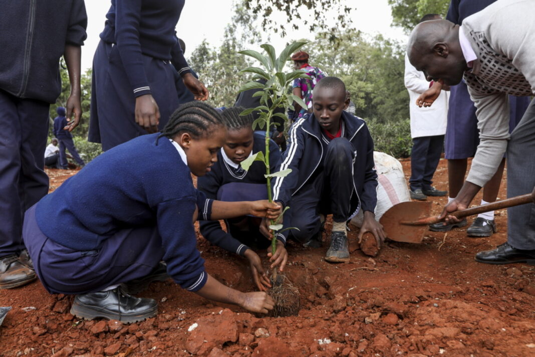 Κένυα: Εθνική αργία για το φύτεμα δέντρων η 13η Νοεμβρίου