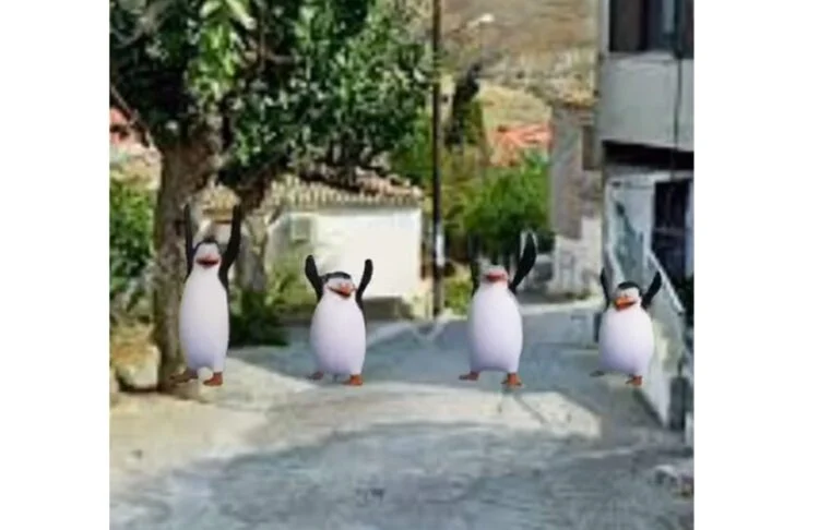 Viral οι Πιγκουίνοι της Μαδαγασκάρης που χορεύουν… ποντιακά