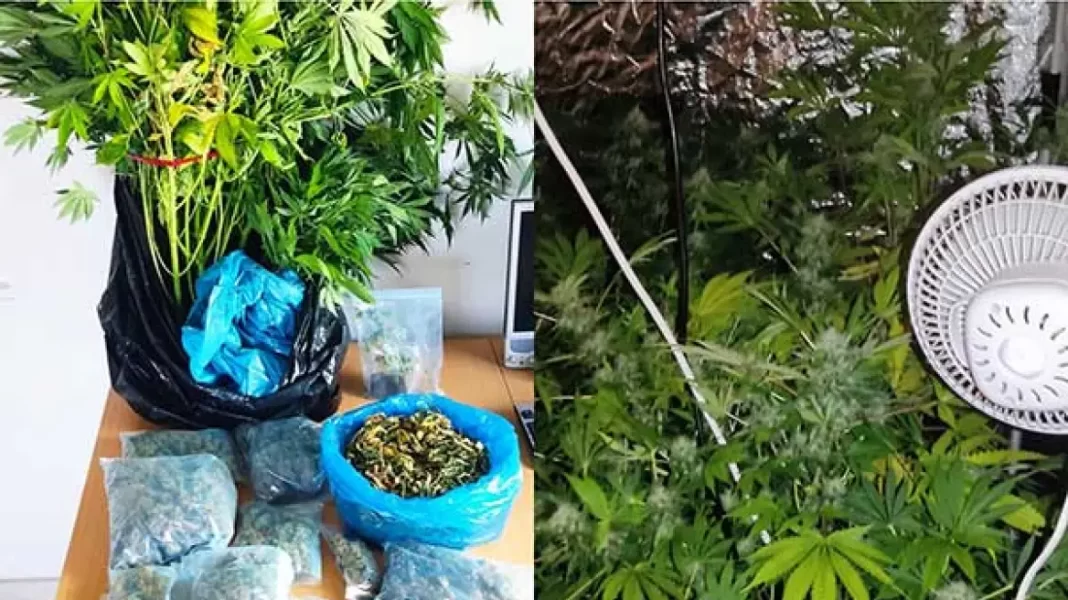 Σε δυο δωμάτια του σπιτιού τους καλλιεργούσαν υδροπονική κάνναβη
