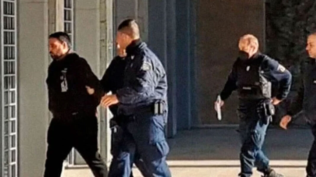 Τρόμαξαν από το αλυσοπρίονο και επιτέθηκαν στην Ελισάβετ, είπε ο ιδιοκτήτης των σκυλιών που κατασπάραξαν την 50χρονη