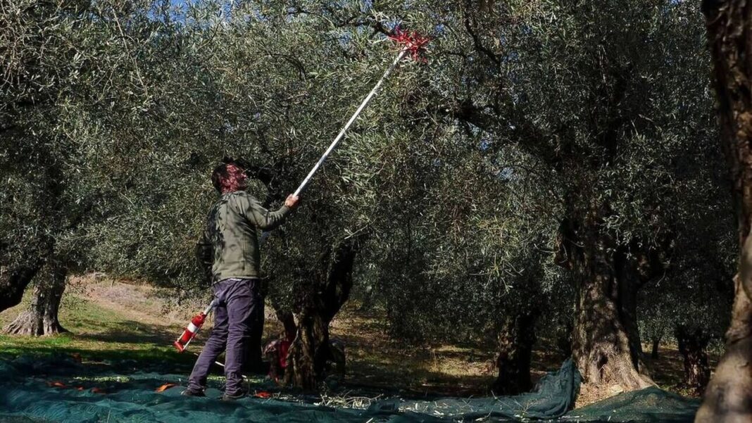Μέχρι πότε παρατείνεται η προθεσμία για το πιλοτικό πρόγραμμα κινητικότητας 500 ανέργων