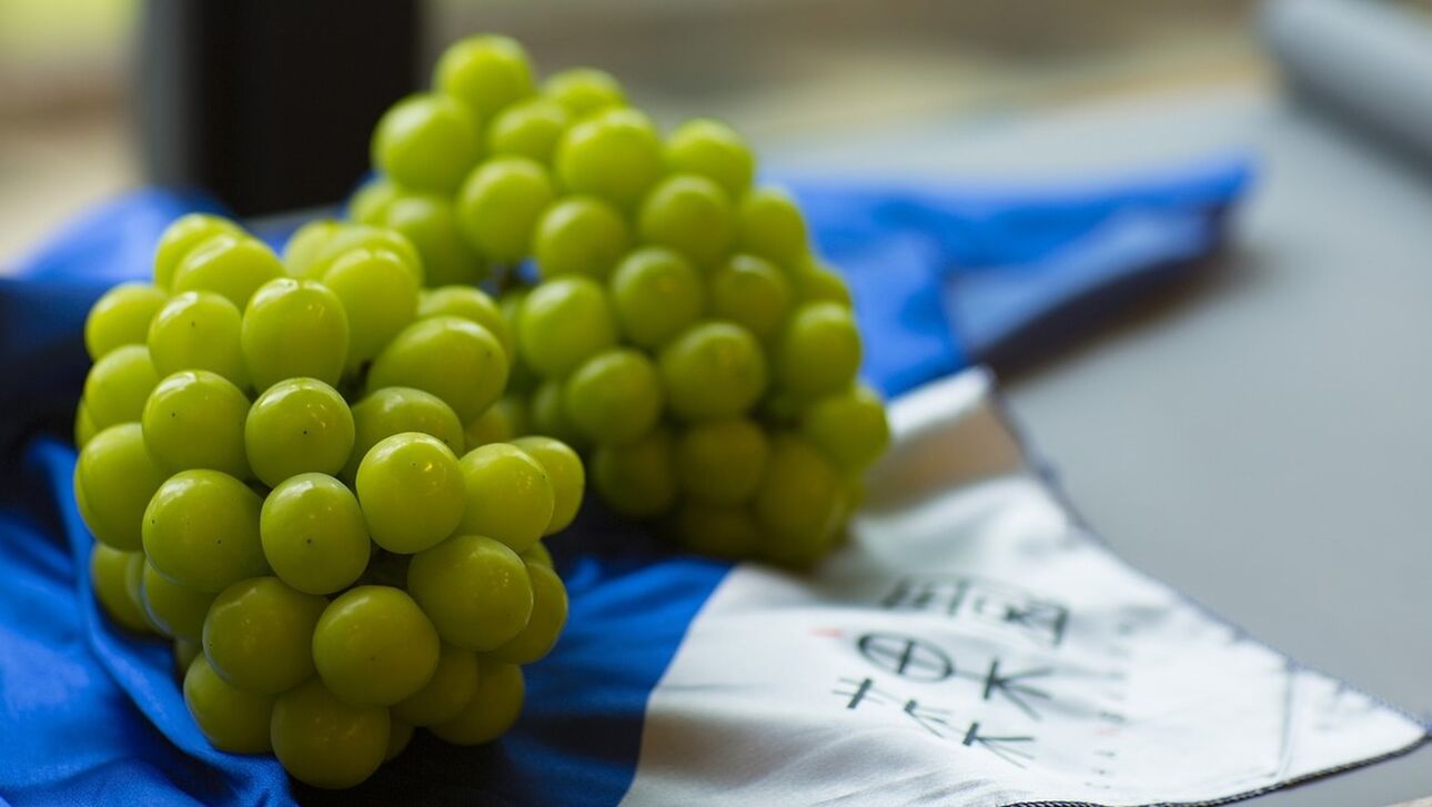 Τόκιο: Οργή για τις φτηνές κινεζικές αντιγραφές των σπάνιων σταφυλιών της Ιαπωνίας