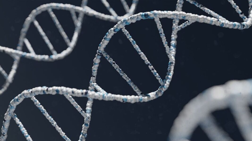 Το αρχαίο DNA μίλησε – Γιατί η βόρεια Ευρώπη έχει υψηλά ποσοστά σκλήρυνσης κατά πλάκας