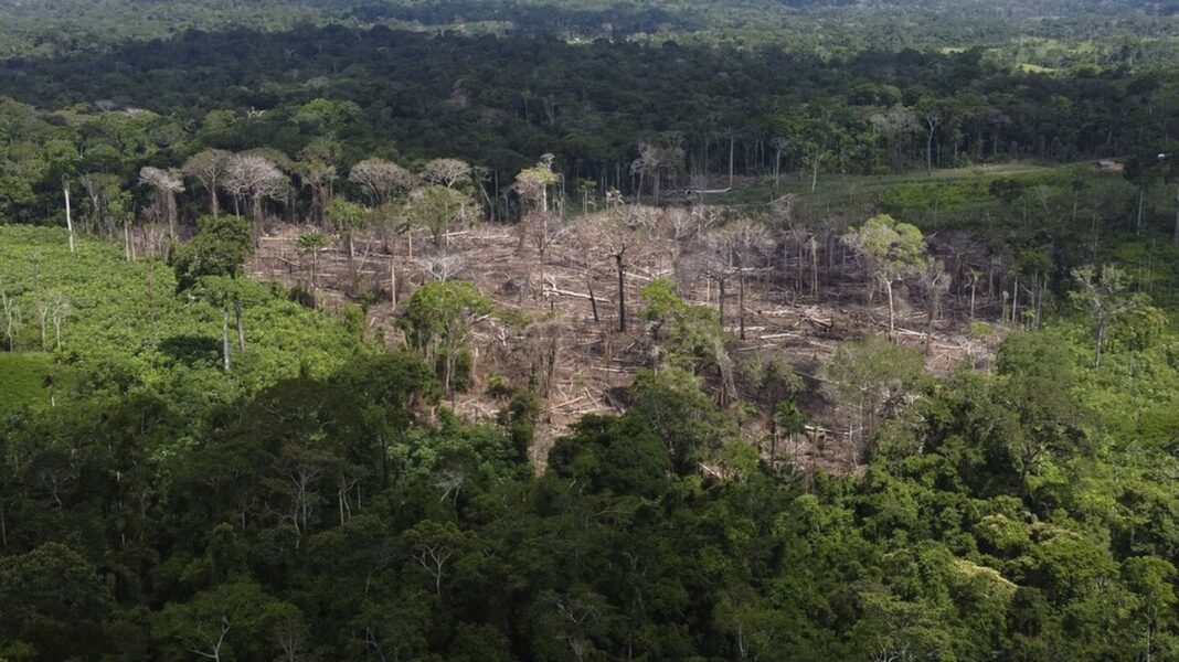 Αμαζόνιος: Μειώθηκε στο μισό το ποσοστό αποψίλωσης το 2023