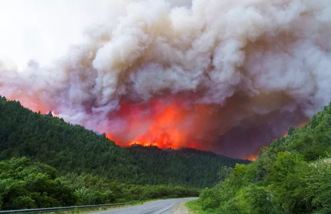 Μεγάλη πυρκαγιά κατακαίει το εθνικό πάρκο Los Alerces της Αργεντινής – Εμπρησμός από τους αυτόχθονες Μαπούτσε λέει η κυβέρνηση
