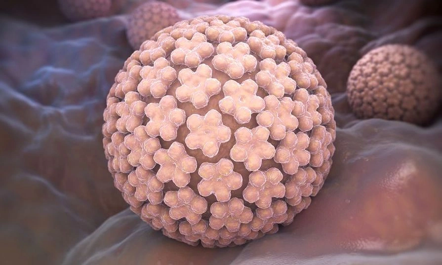Ιός ανθρώπινων θηλωμάτων (HPV): Πόσο αυξάνει τον κίνδυνο καρκίνου του θυρεοειδούς