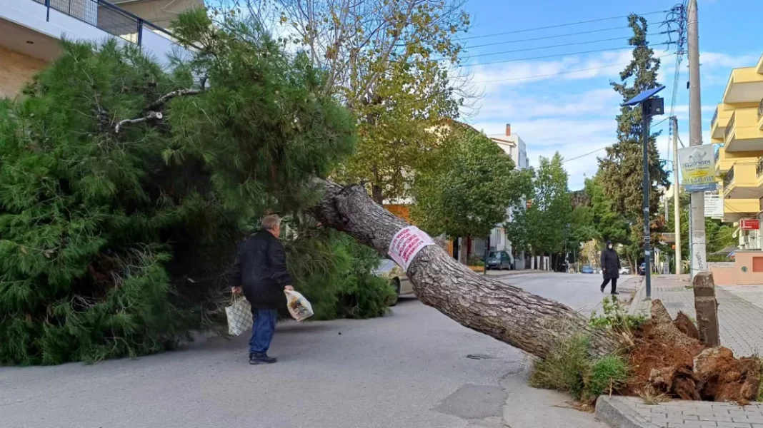 Άνεμοι έως και 9 μποφόρ στην Αττική, ξεριζώθηκαν δέντρα – Χιόνια στη βόρεια Ελλάδα