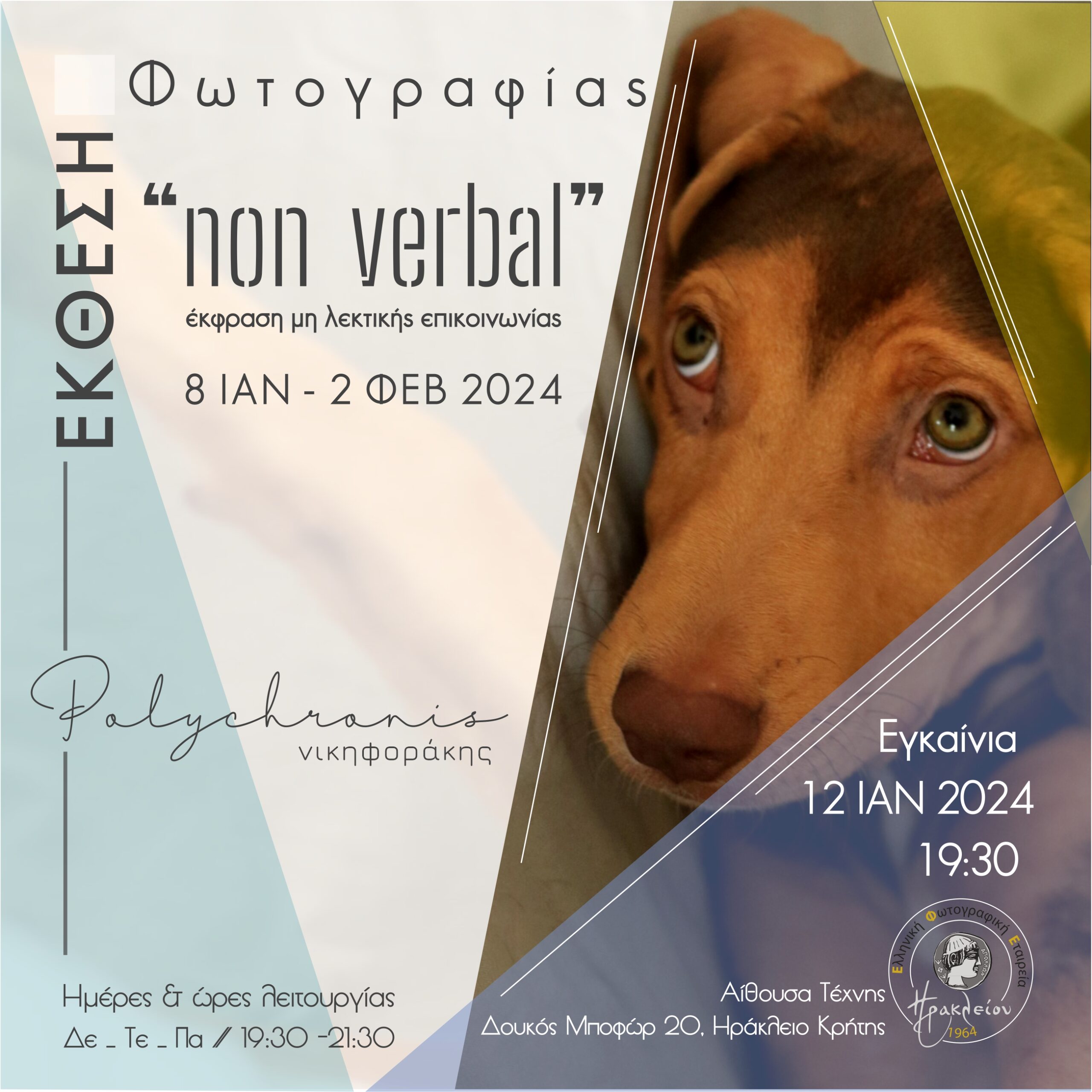 «Non verbal – Μη λεκτική επικοινωνία»: Η έκθεση φωτογραφίας του Πολυχρόνη Νικηφοράκη στη αίθουσα Τέχνης της ΕΦΕΗ