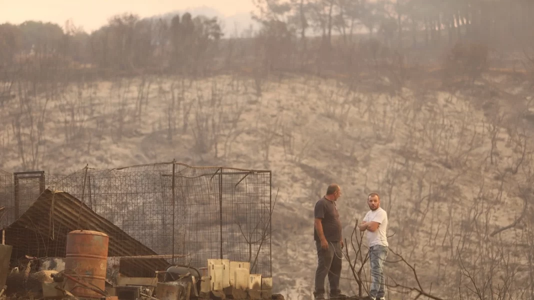 WWF: Μελέτη αποκατάστασης για τα 935.000 καμένα στρέμματα στον Έβρο