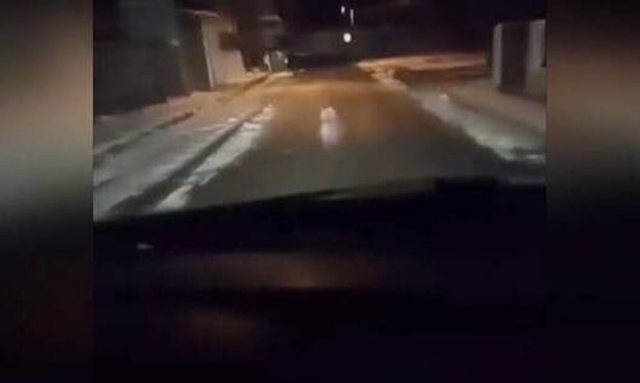 Τρόμος για... οδηγό: Ήρθε αντιμέτωπος με λύκο στο κέντρο της πόλης!