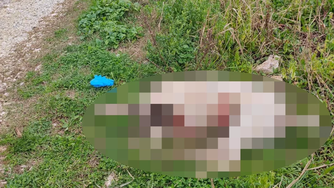 Πυροβόλησε και σκότωσε σκύλο μέσα στον κόσμο σε περιοχή που έπαιζαν παιδιά