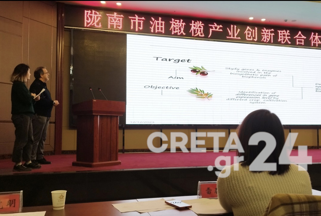 Καθηγητές του ΕΛΜΕΠΑ στην Κίνα για τη μεταφορά τεχνογνωσίας σε Κινέζους ελαιοκαλλιεργητές – Η σημασία που δίνεται στο ελαιόλαδο