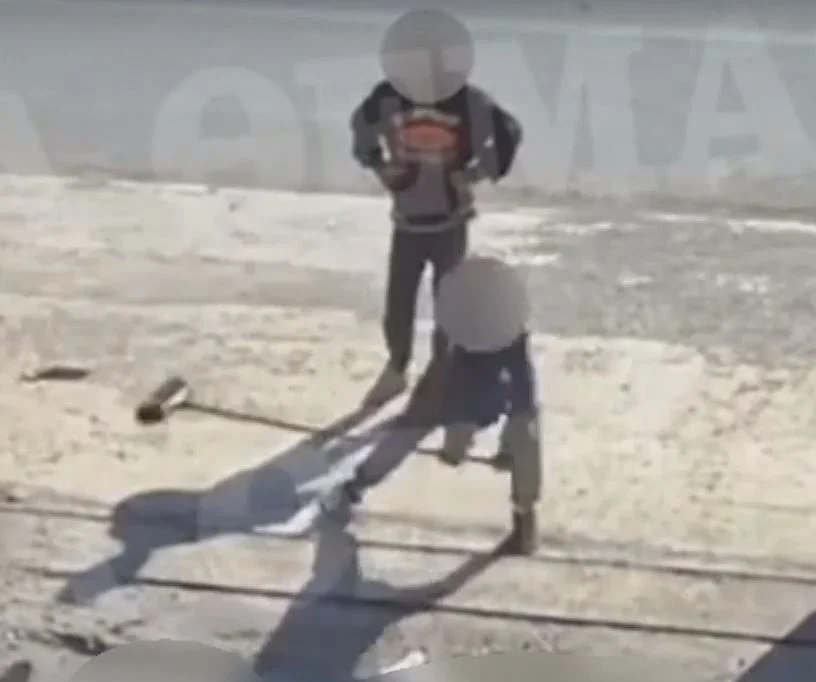 Ανήλικοι χτυπούν μέχρι θανάτου τραυματισμένο γλάρο στη μέση του δρόμου – Σοκάρει το βίντεο