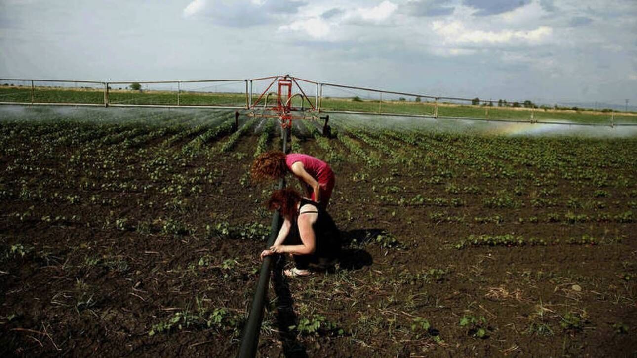 Μικρά Δάνεια Αγροτικής Επιχειρηματικότητας: Αύξηση προϋπολογισμού στα 61,5 εκατ. ευρώ