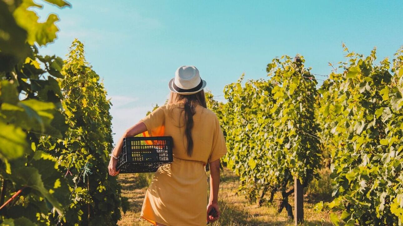 Ώθηση στην επέκταση της σεζόν από τις εναλλακτικές μορφές τουρισμού