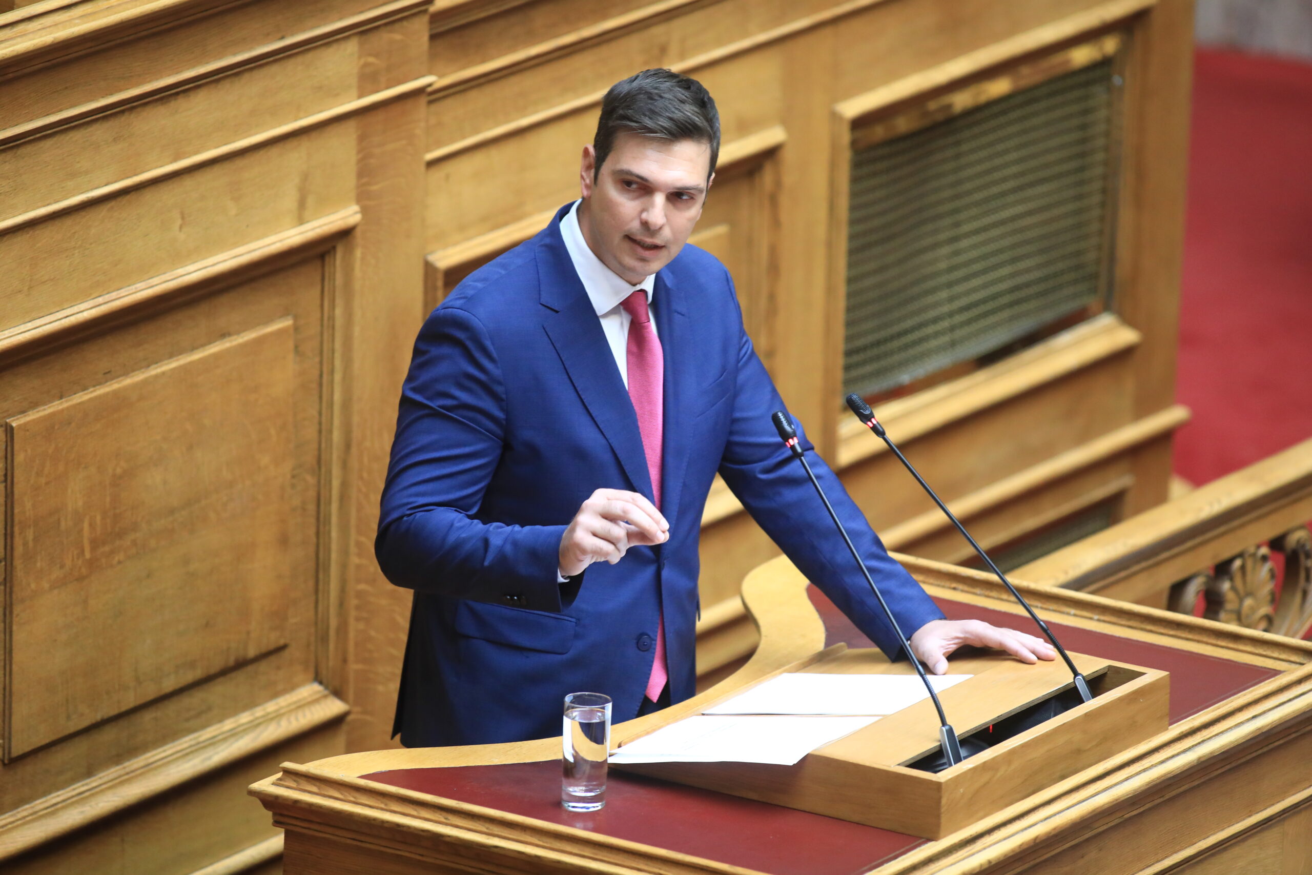 Παρέμβαση Αλέξανδρου Μαρκογιαννάκη για το θέμα της αδεσποτίας