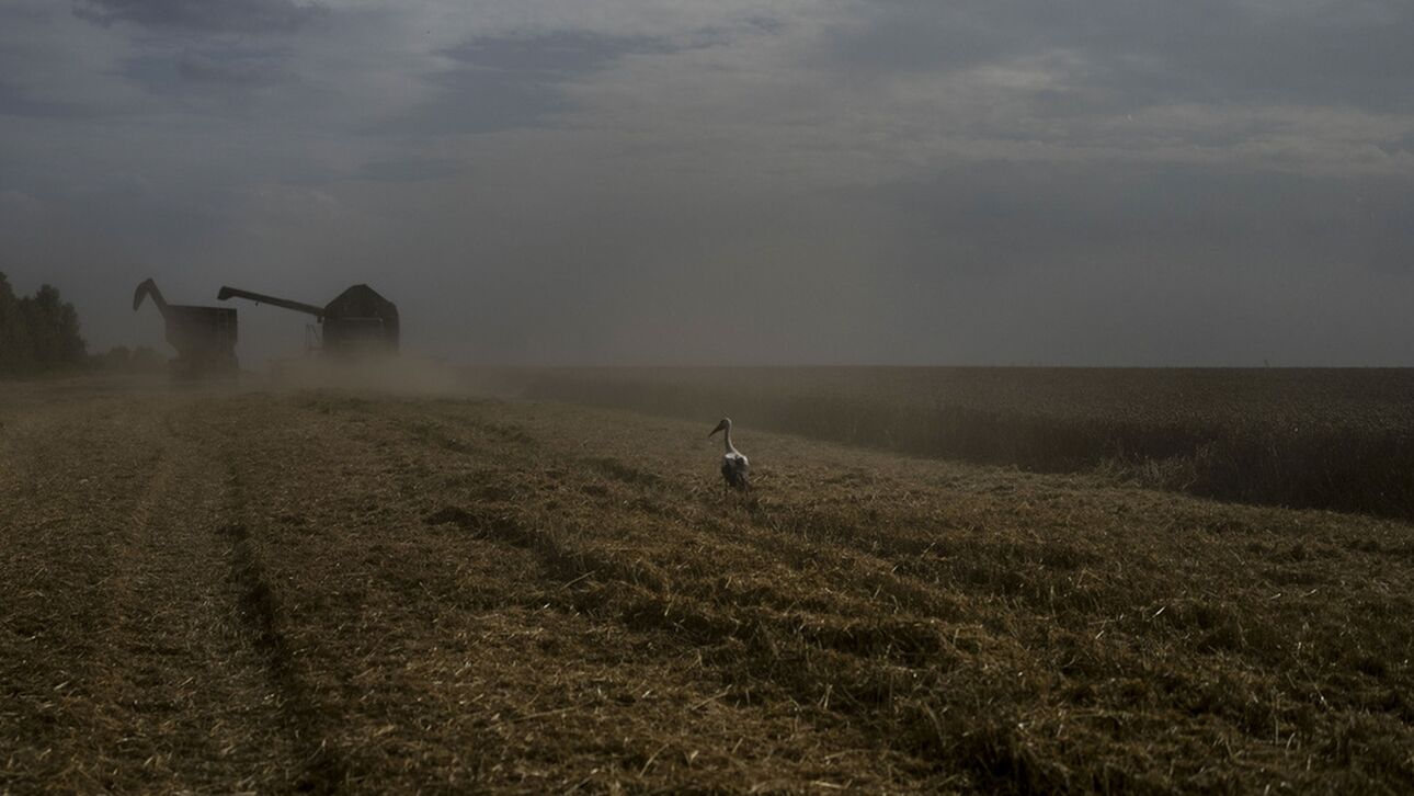 Ρωσία: Κατακόρυφη πτώση των εξαγωγών προς την Ευρώπη το 2023, αύξηση προς την Ασία