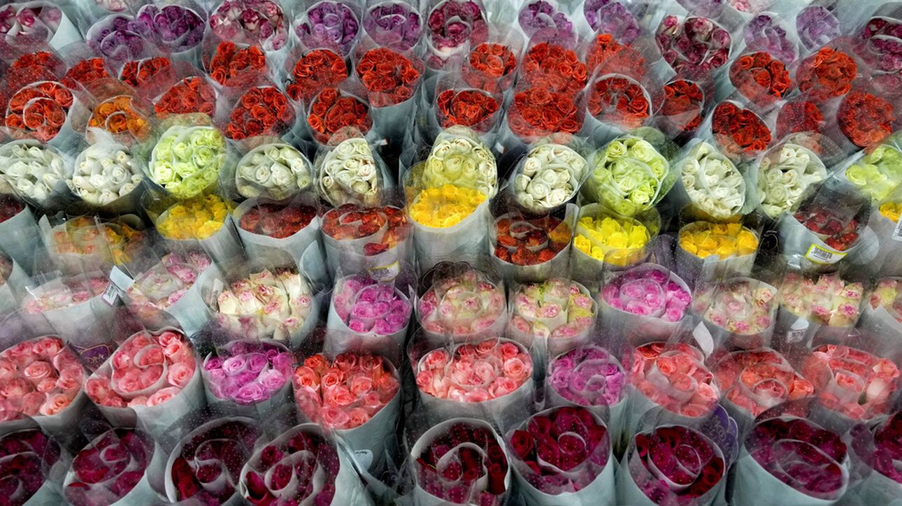 Βρετανία: Πώς το Brexit «πλήττει» το εμπόριο λουλουδιών για την Ημέρα του Αγίου Βαλεντίνου