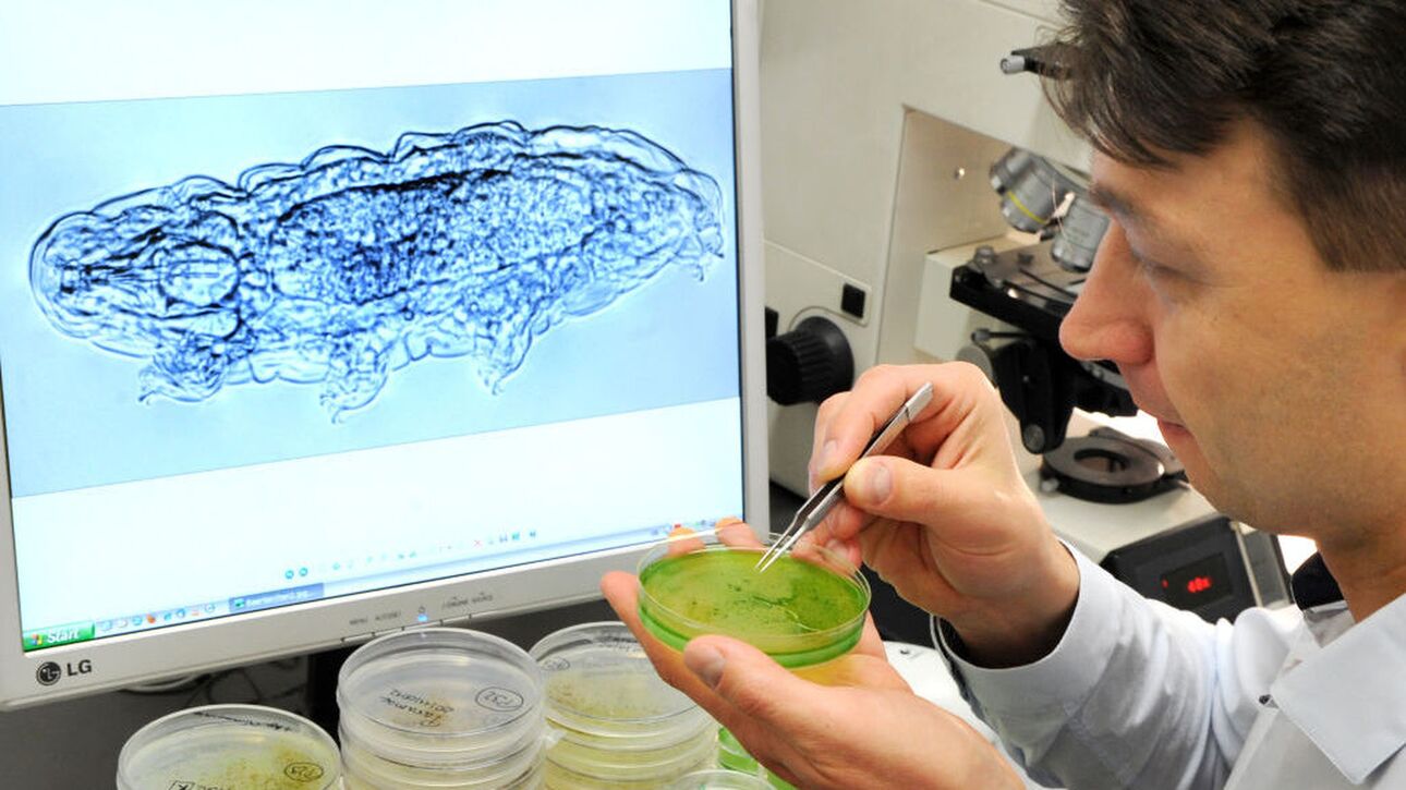 Τι κάνει τα βραδύπορα τα πιο ανθεκτικά πλάσματα στον πλανήτη - Πού και πώς βοηθούν τα ευρήματα